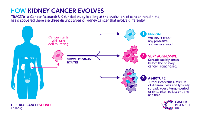 Evolution of kidney cancer