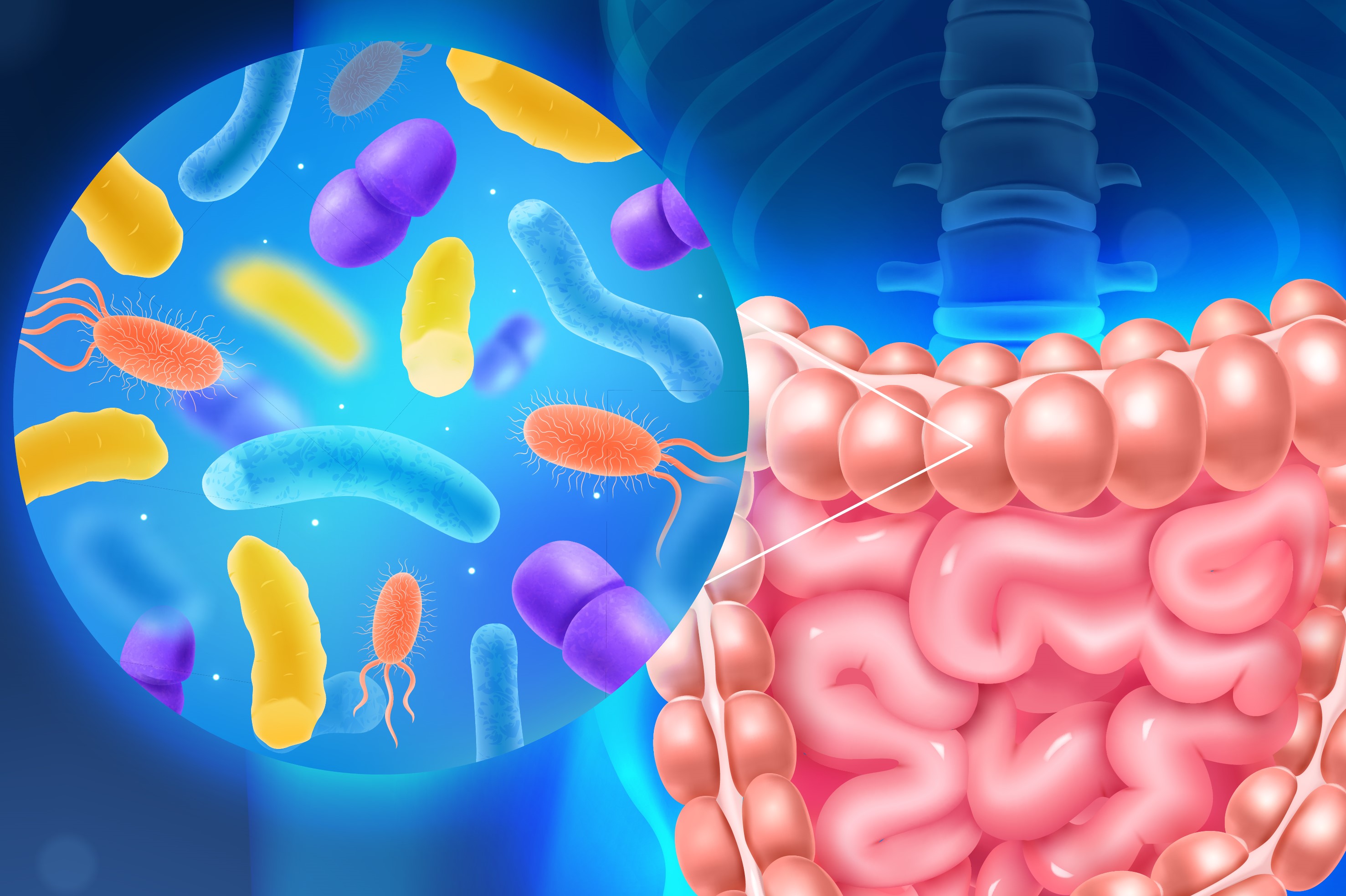 Gut microbiome image by macrovector on Freepik