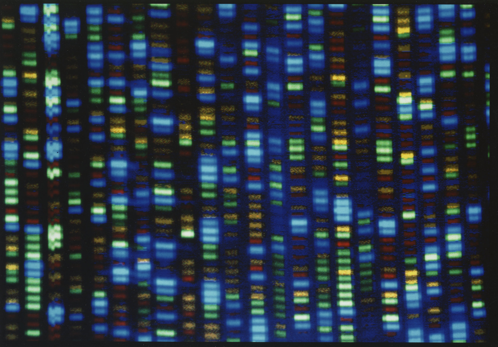 Output from DNA sequencer (National Human Genome Research Institute)