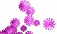 COVID-19 virus (Credit FrankundFrei, Pixabay)